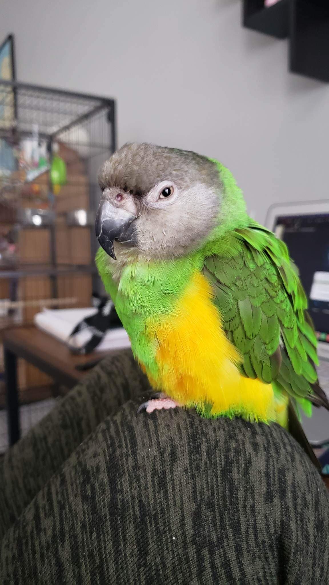 Photo of Austin